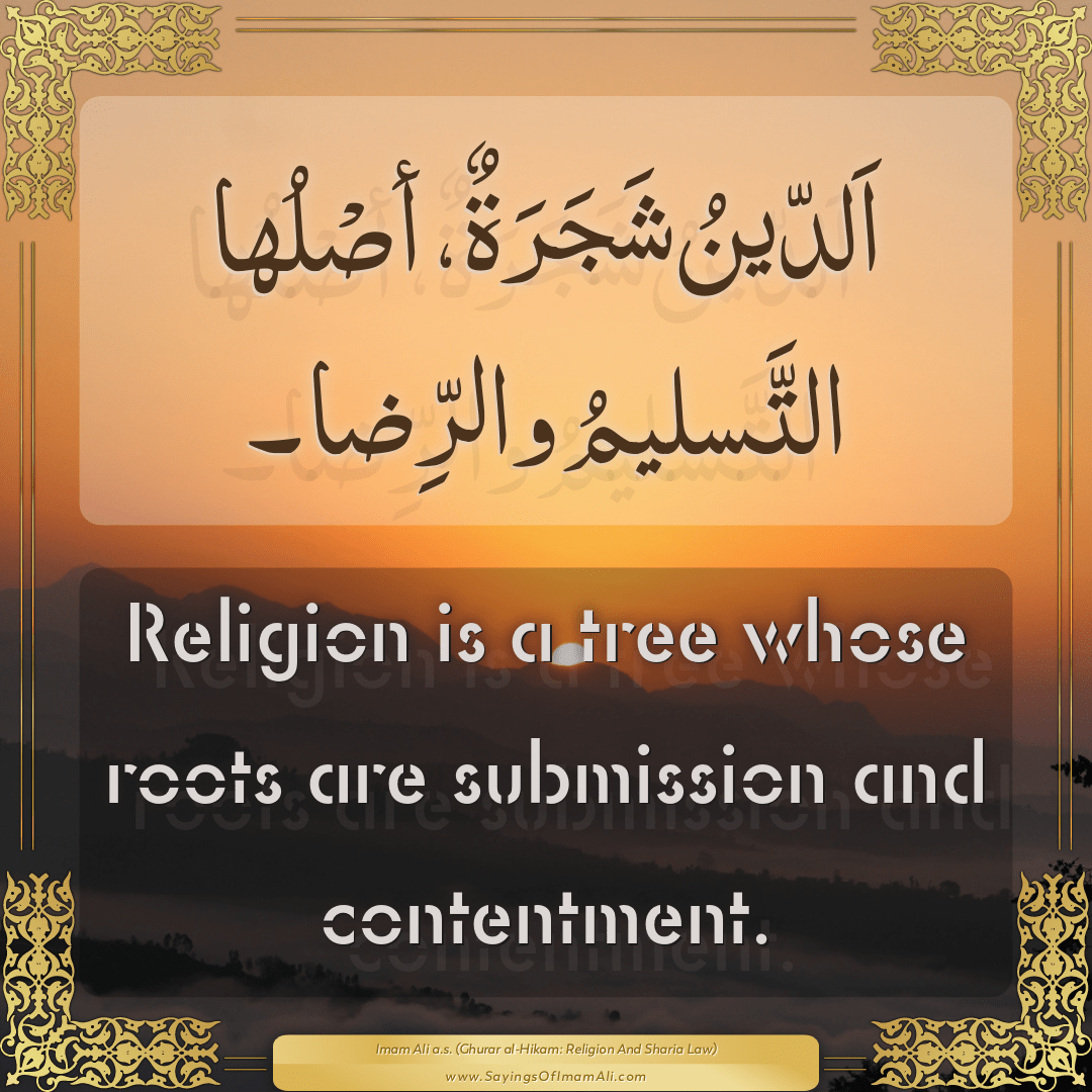 Religion is a tree whose roots are submission and contentment.